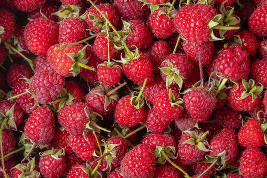 The Secret to Immunity, Energy & Radiance: Why You Need Vitamin C Every Day - Essentriel